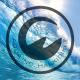 Aqua inc Aqua inc